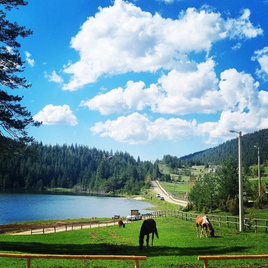 Apartmani Jezero Žabljak Rum bild